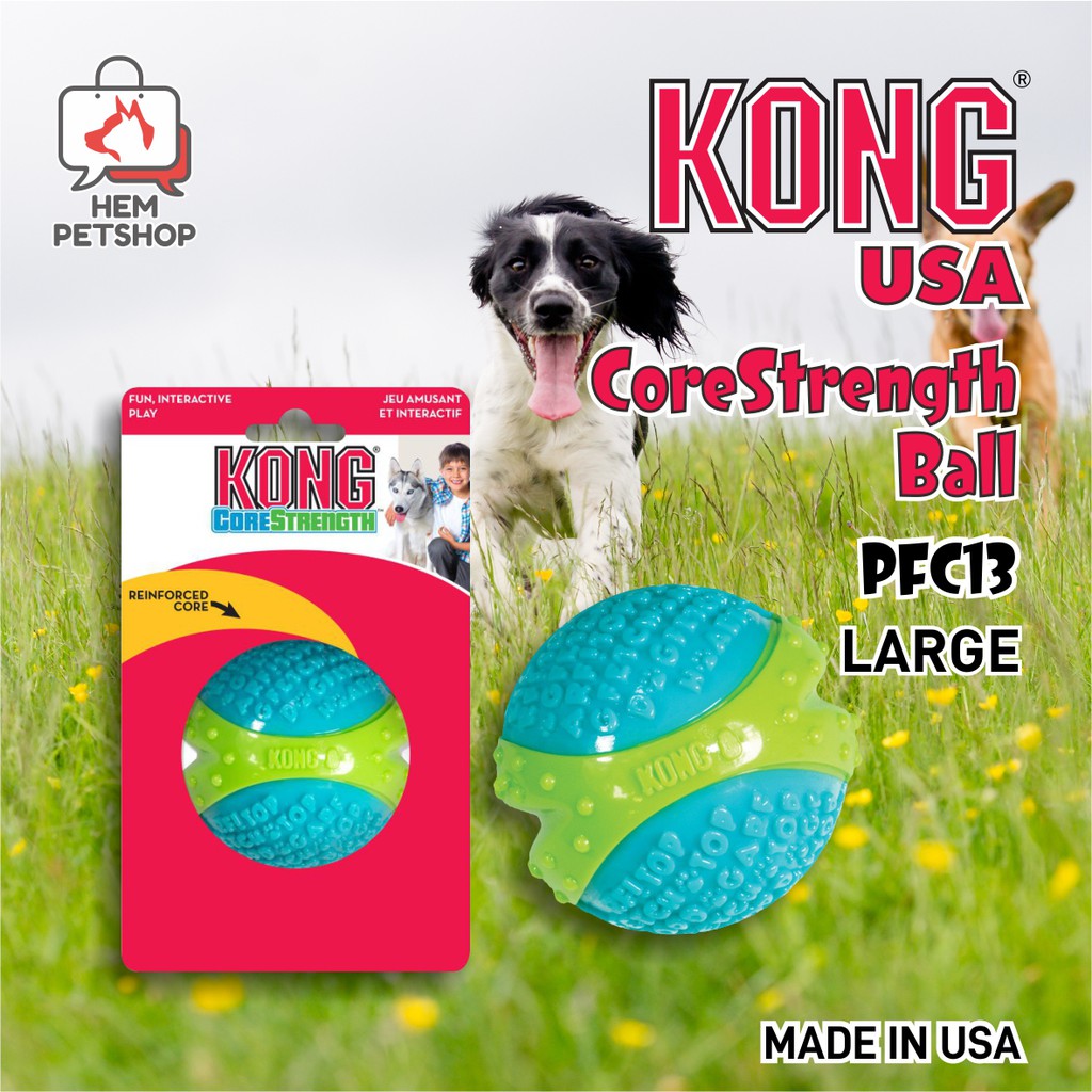 KONG Core Strength PFC13 BALL LARGE