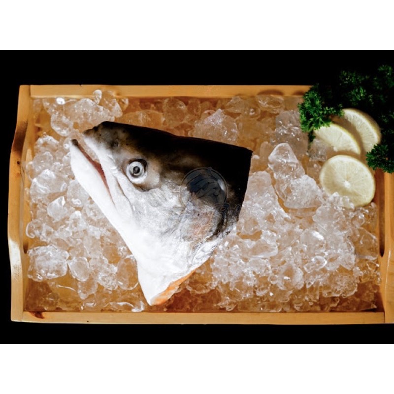 Kepala Salmon Fresh 1 Pack