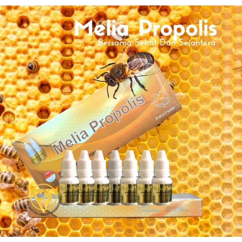 Melia Propolis 6ML/1 boks