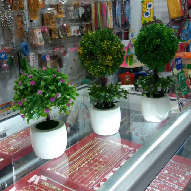 Bonsai mini