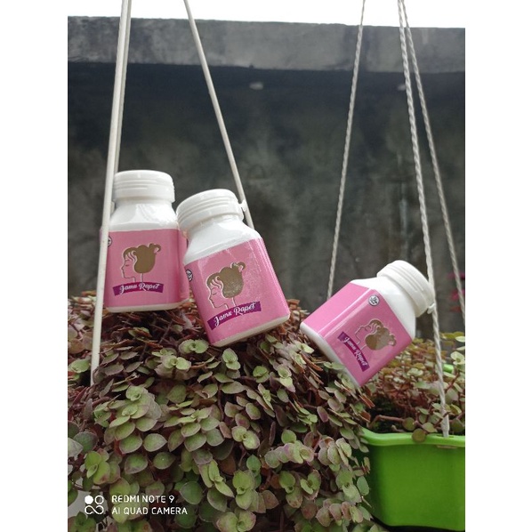 Jamu Rapet wanita/jamu gadis