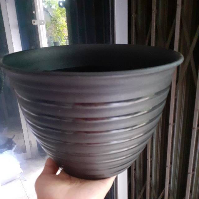 Pot Tawon hitam 18