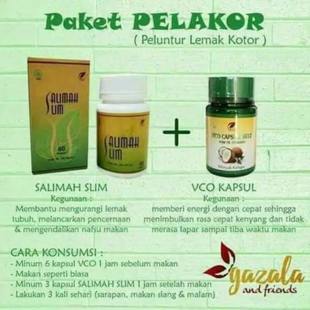 Paket pelakor