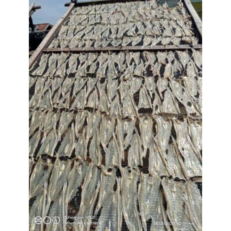 ikan asin ( dendeng super )