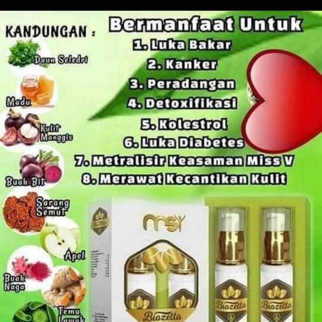 BIOZETTA MSI