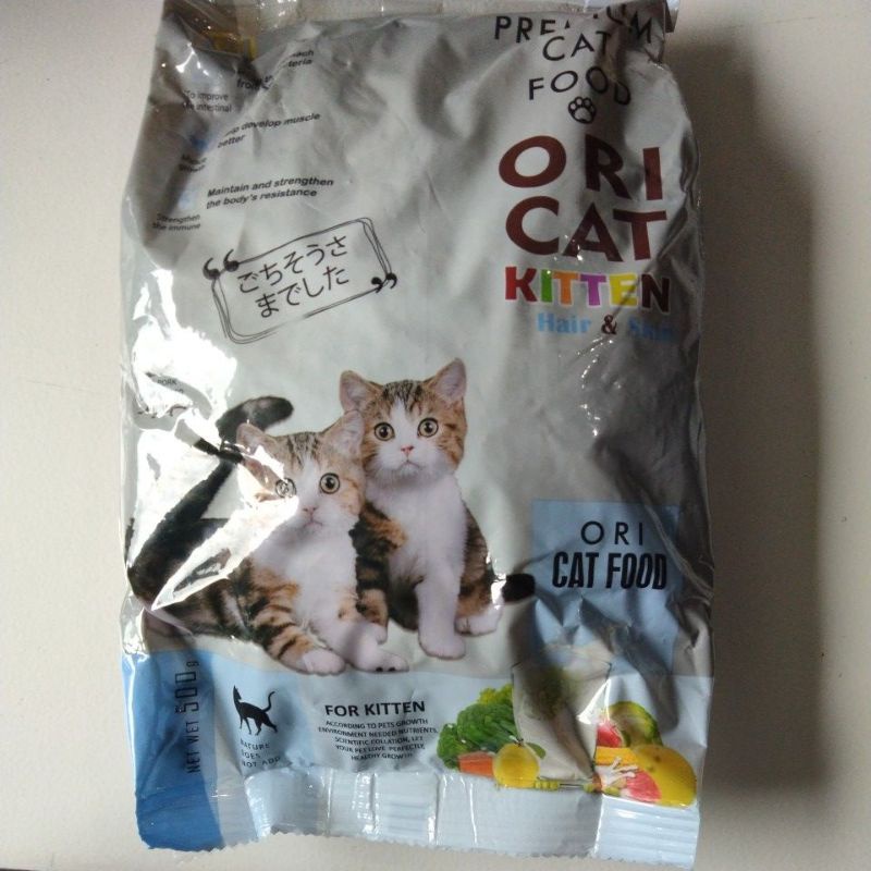 ORI CAT KITTEN