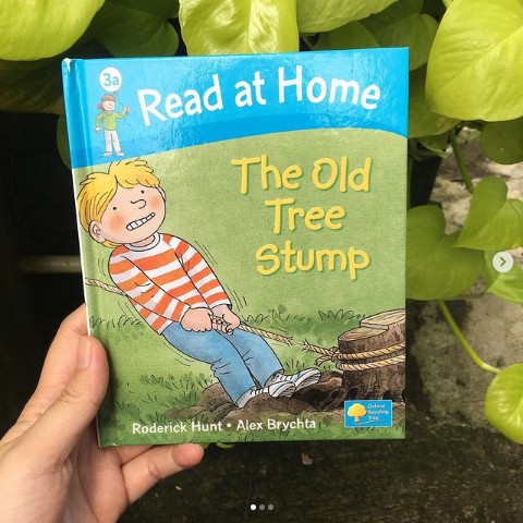 Read at Home : The Old Tree Stump