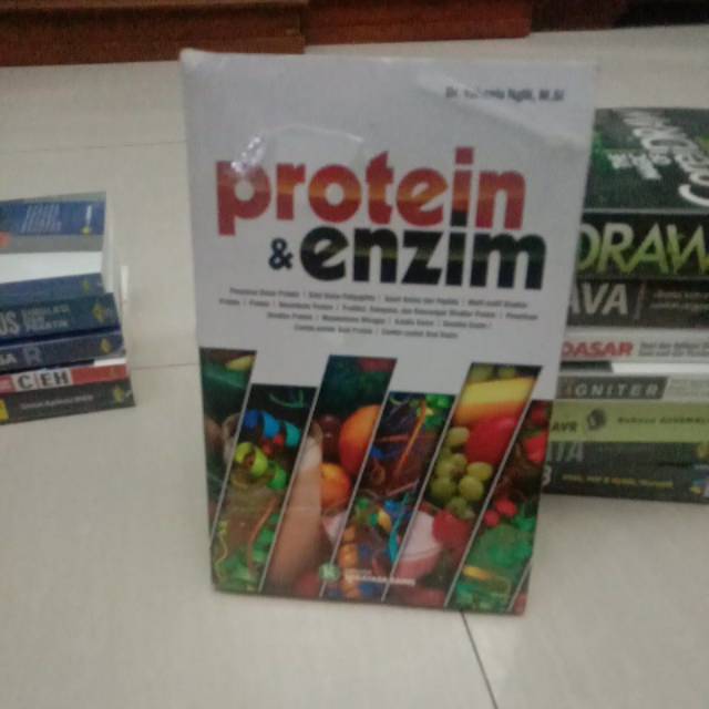 Protein dan enzim