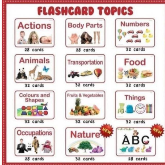 FLASH & LEARN CARD EDUCATION