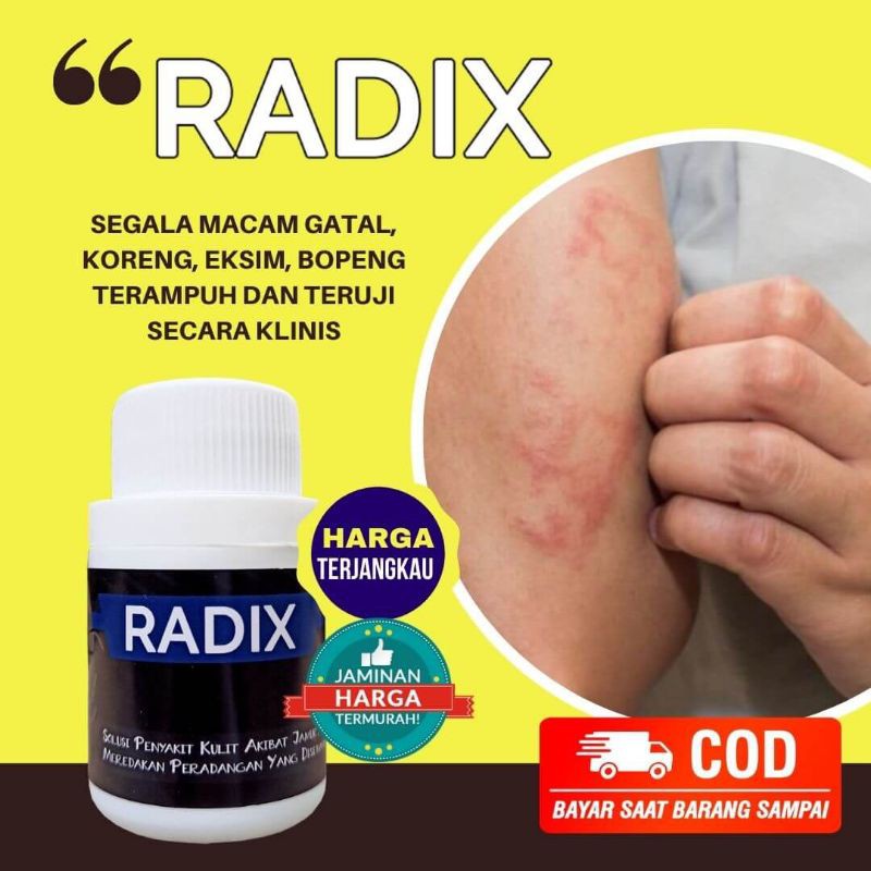 Radix obat gatal dan lainnya