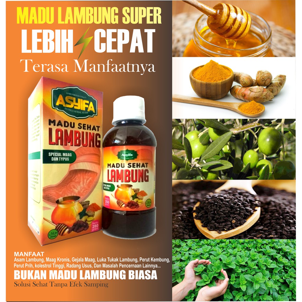 Madu Sehat Lambung Asyifa 280gr