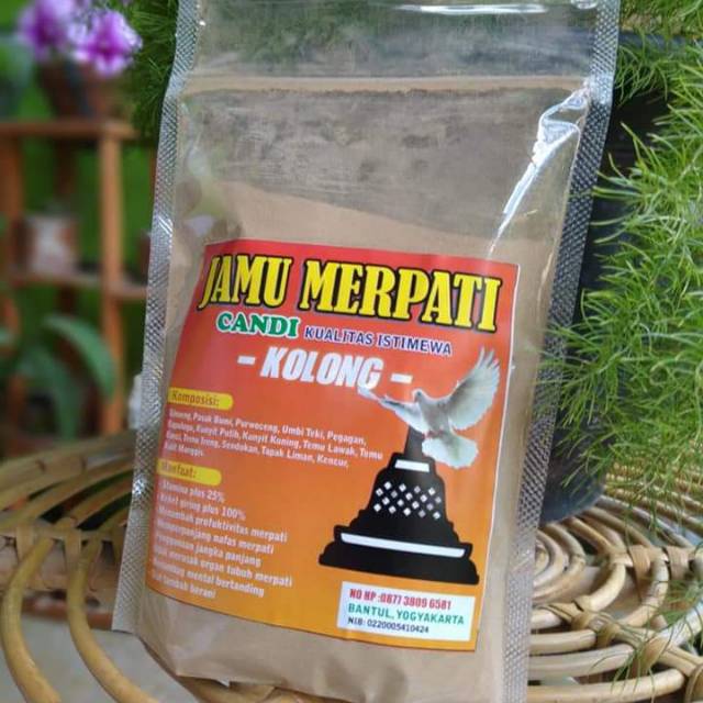 Jamu Merpati Kolong