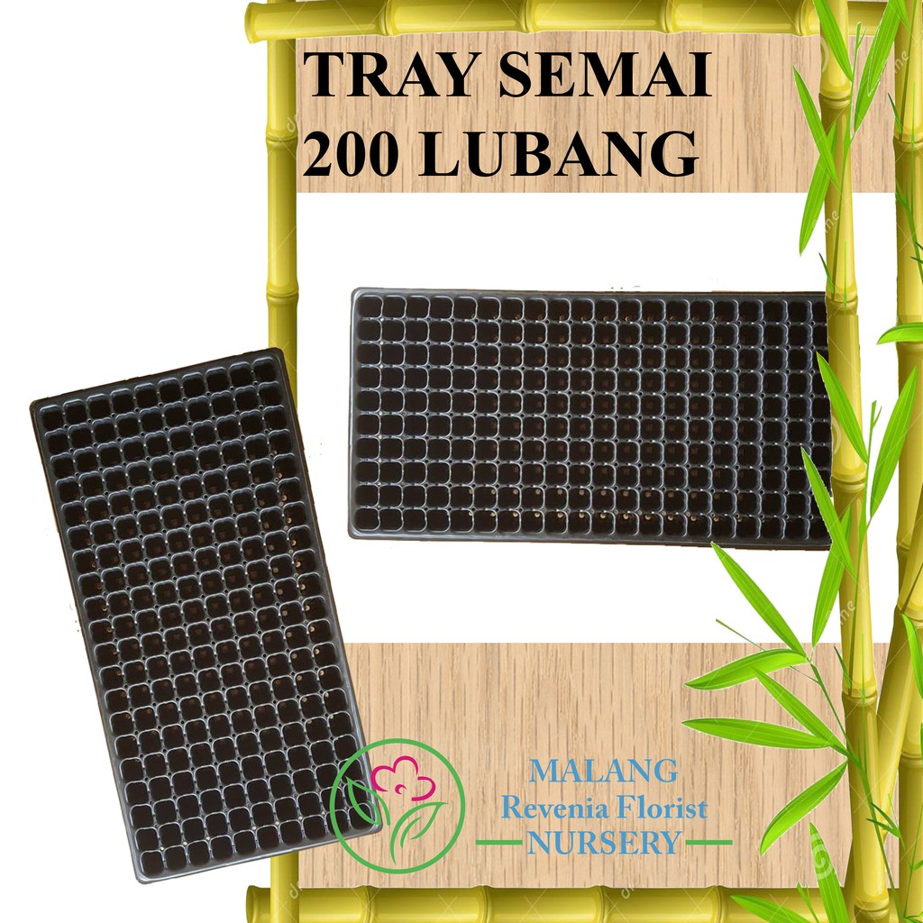 Tray Semai 200 Lubang