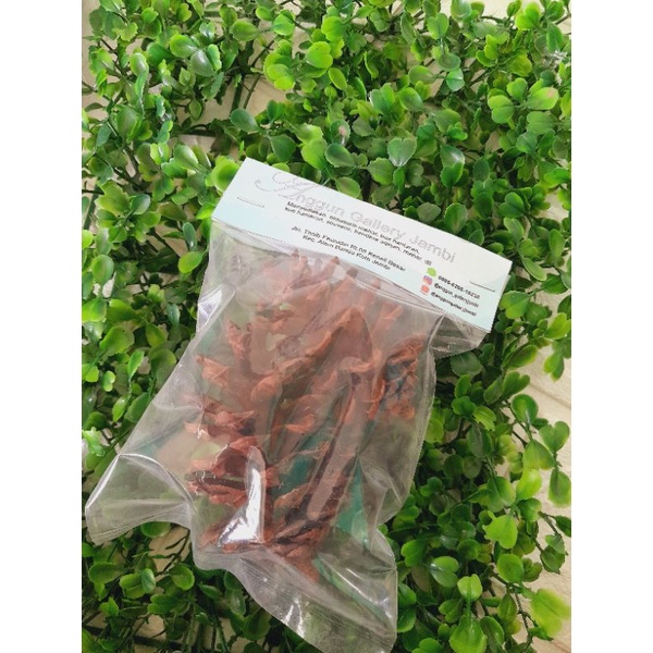 pinus dry flower