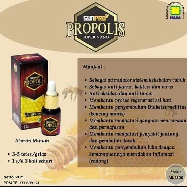 SUNPRO PROPOLIS NASA