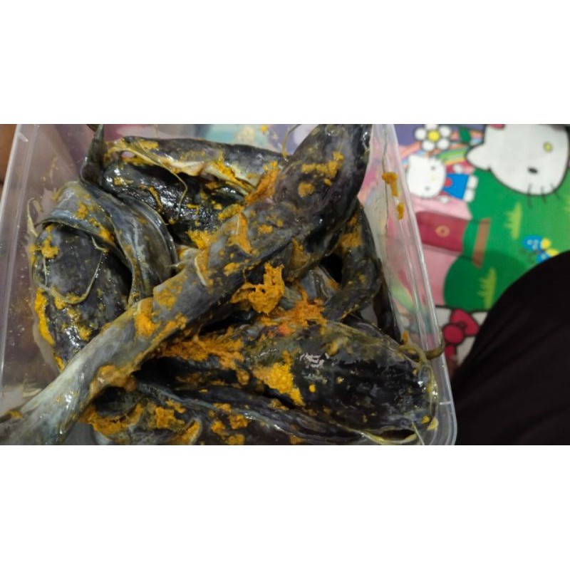 lele bumbu kuning