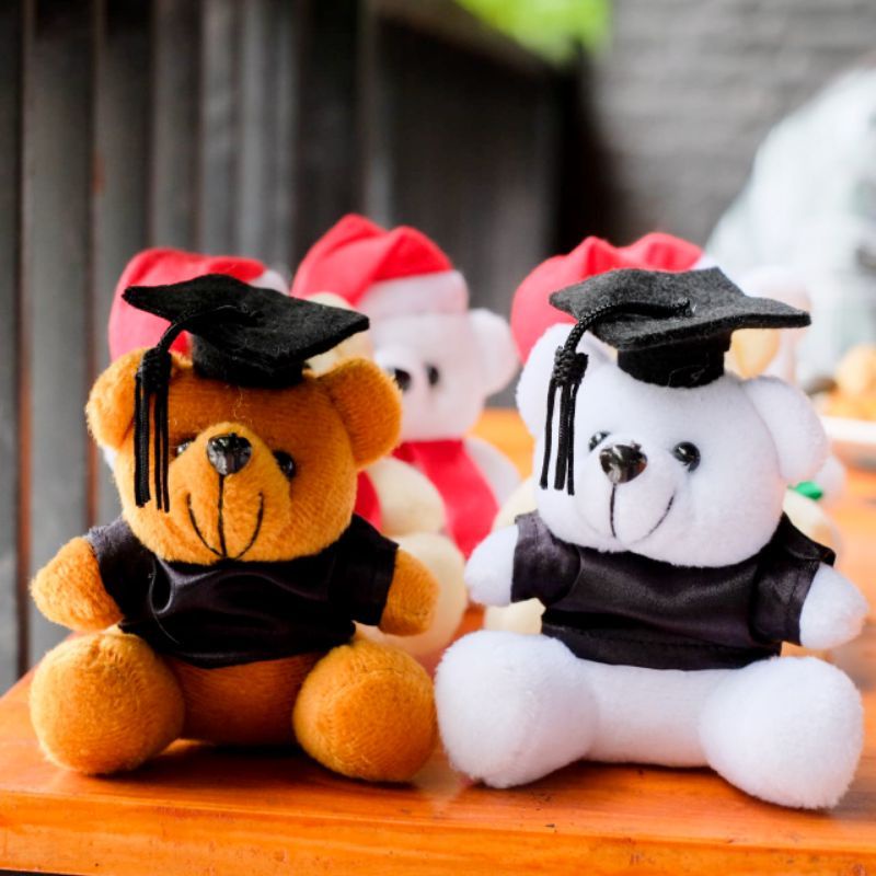 boneka wisuda mini 12cm teddy bear