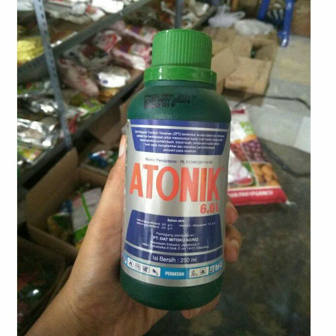 Atonik 6.0L 250ml