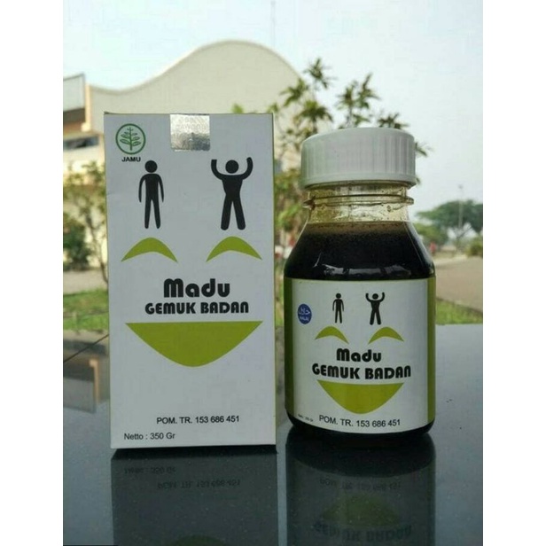 Madu gemuk dewasa