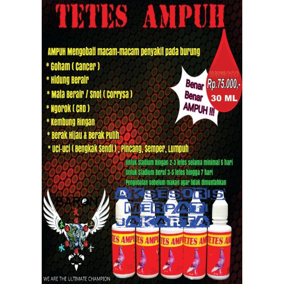 TETES AMPUH