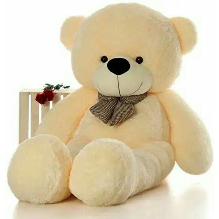 Tedy Bear