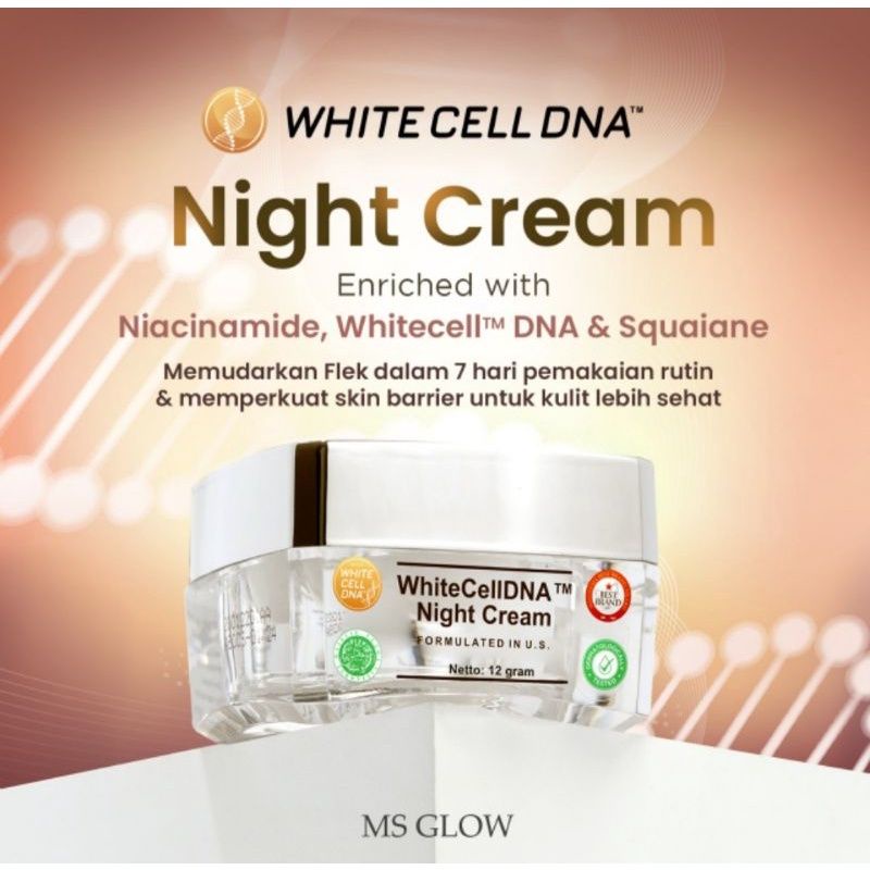 WhiteCellDNA Night Cream