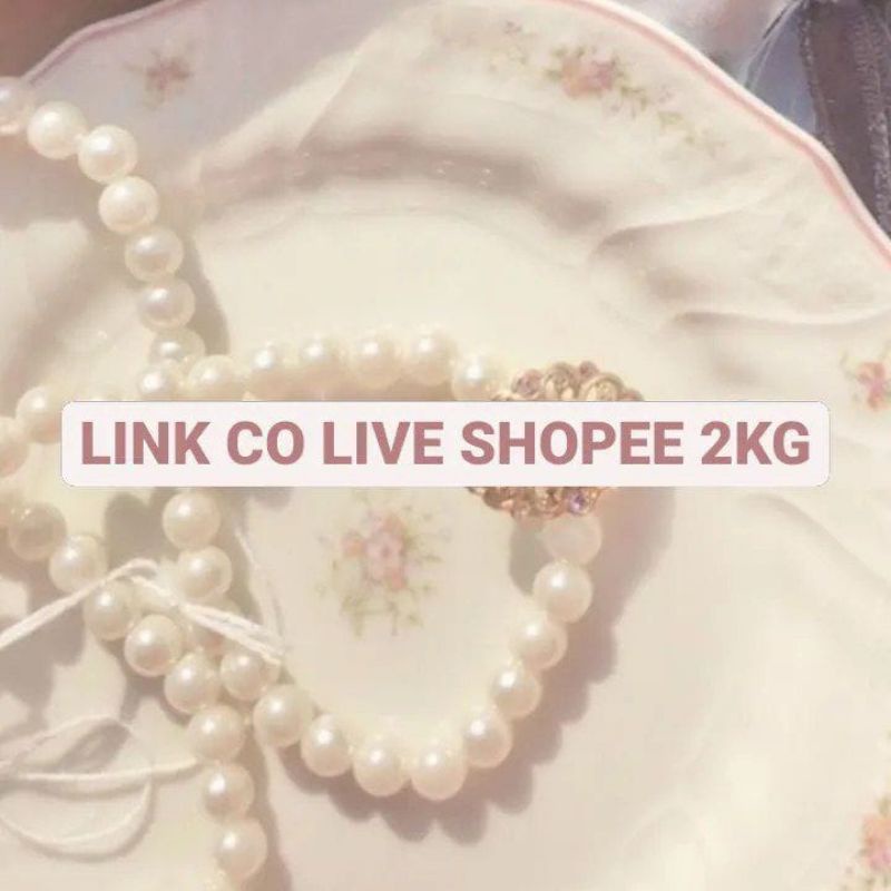 link CO link 2 kg