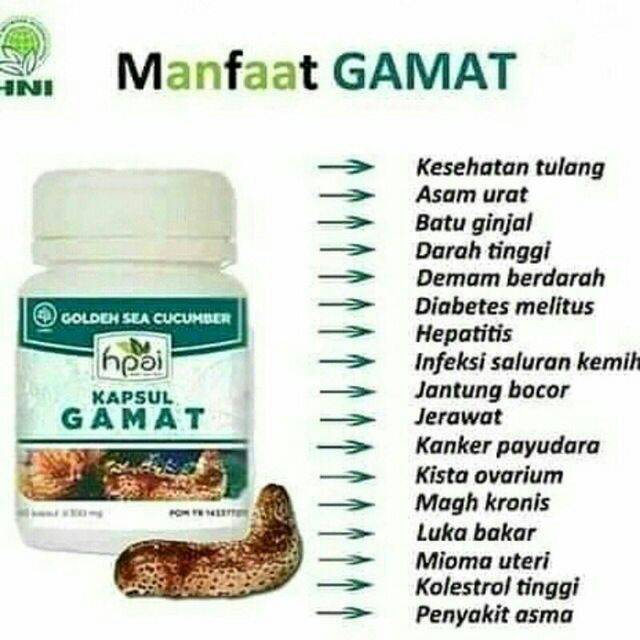 GAMAT