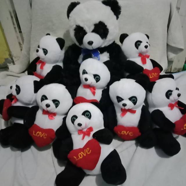 Panda beranak 8anak