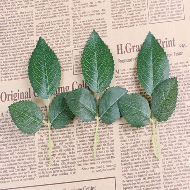 Miley✨Artificial Springs Rose Leaf Silk Green Leaf Craft Buttonhole Wedding Decor