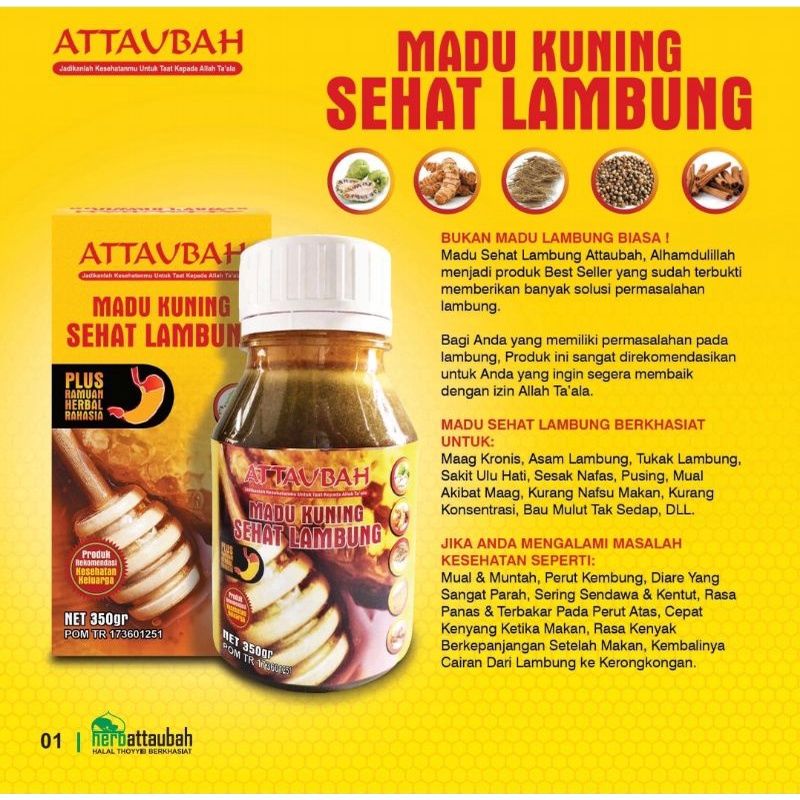 Madu Sehat Lambung