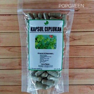 Kapsul Ciplukan/Cecendet 100 Kapsul