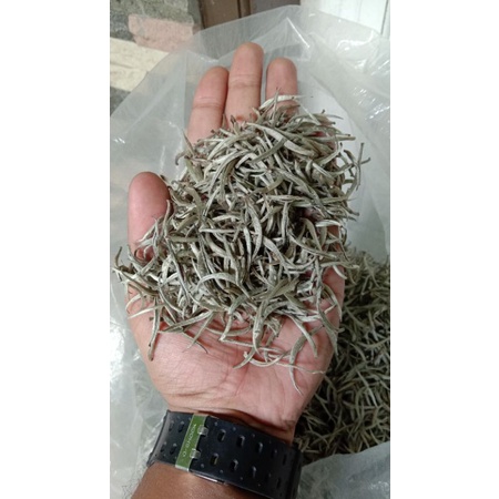 white tea silver needle/teh putih/500 gr
