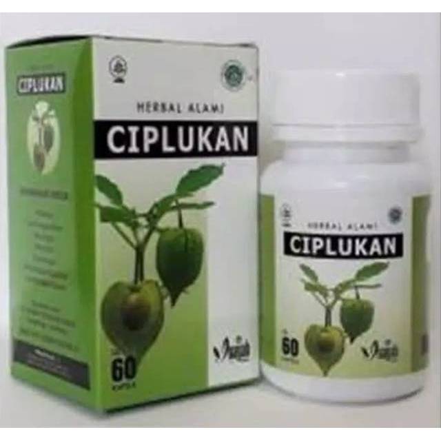 KAPSUL DAUN CIPLUKAN isi 60 kapsul