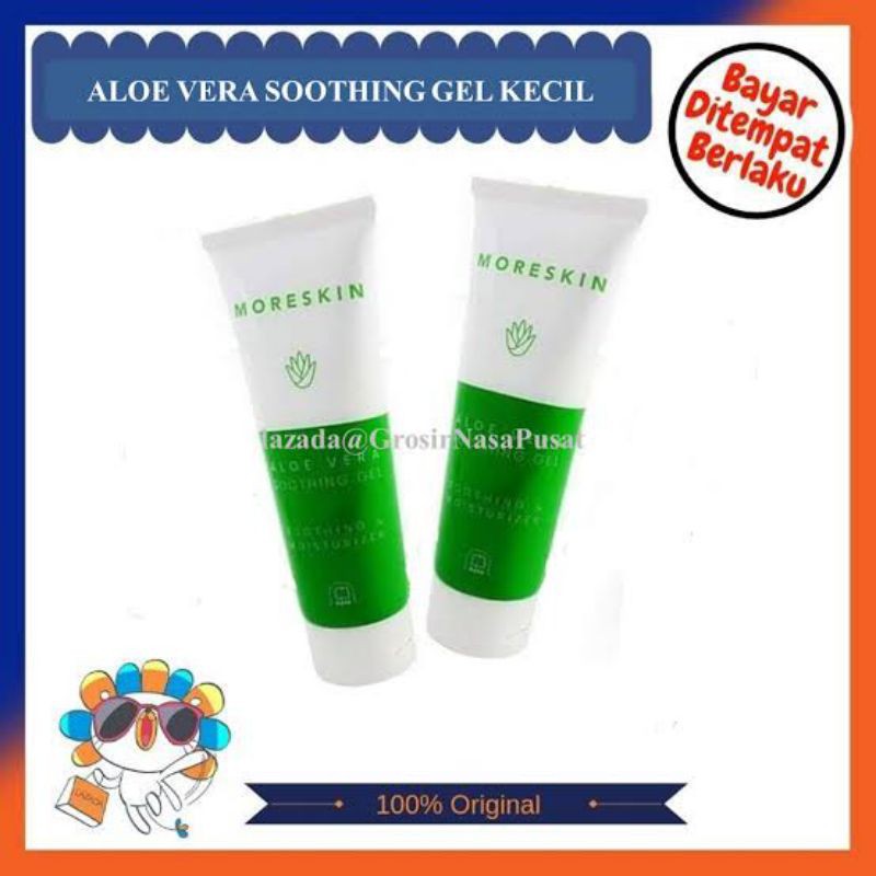 aloevera kecil nasa