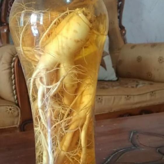 Ginseng Korea Fullset Botol