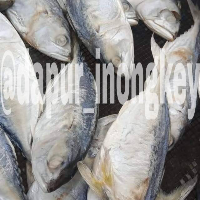 Ikan asin gembung