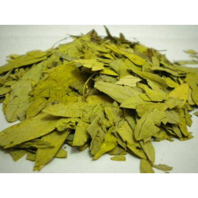Daun teh jati Cina