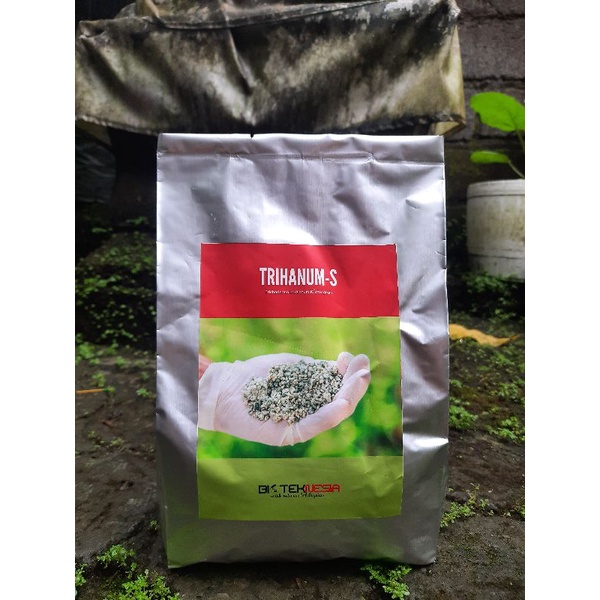 starter murni trichoderma harzianum