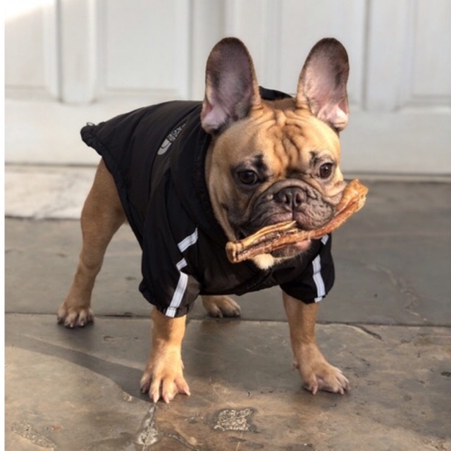Dehydrated Bully Stick by Goodie