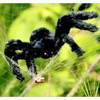 Laba Laba Hitam (Halloween Properties)