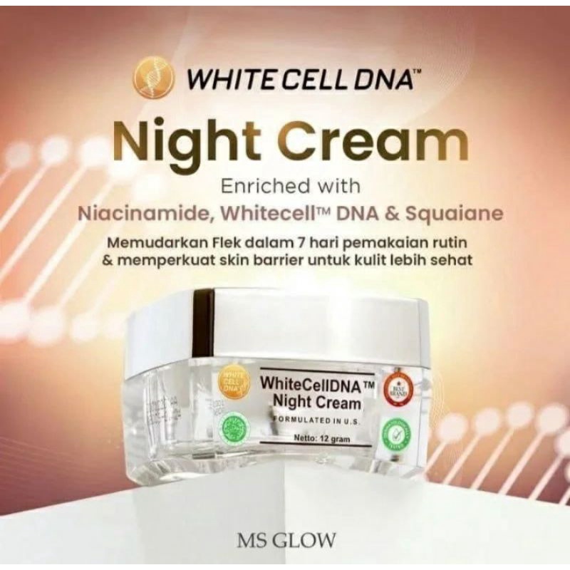 Night Cell Dna