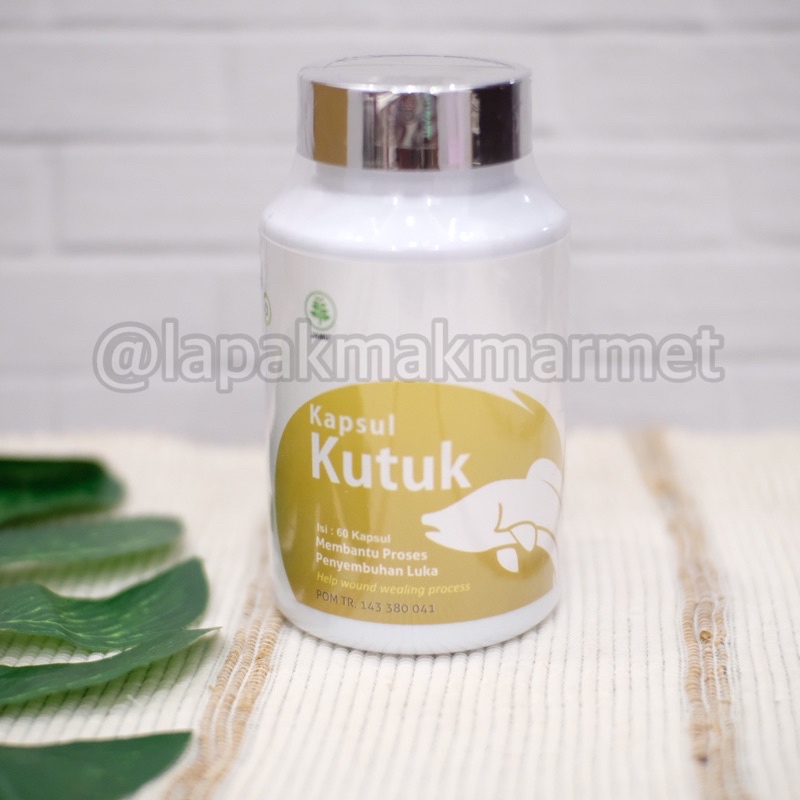 Kapsul Kutuk/Kapsul Ikan Gabus Premium
