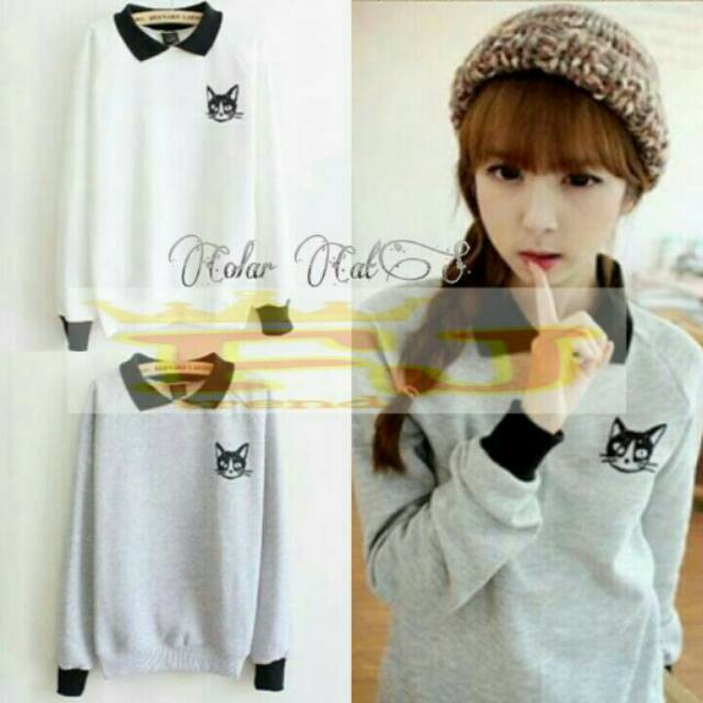 Baju rajut cat collar