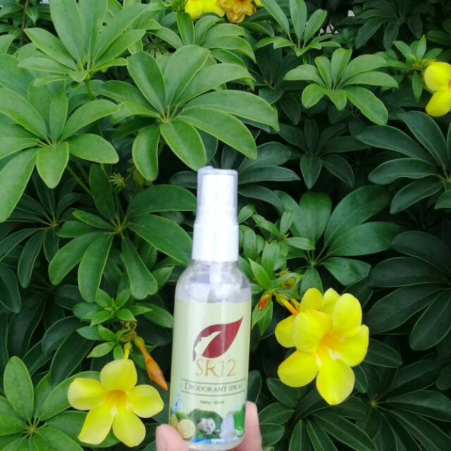 Deodorant spray sr12