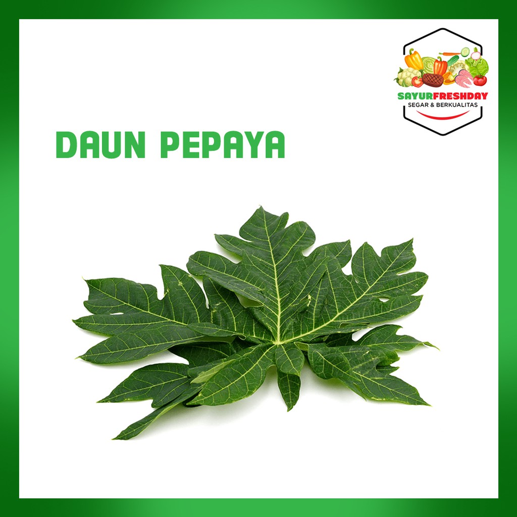 Daun Pepaya 1 ikat