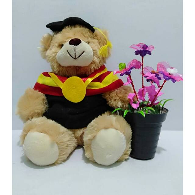 bear toga