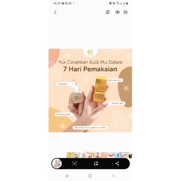 serum wfsolution