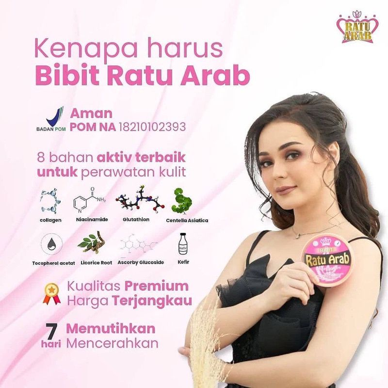 Bibit Ratu Arab Original