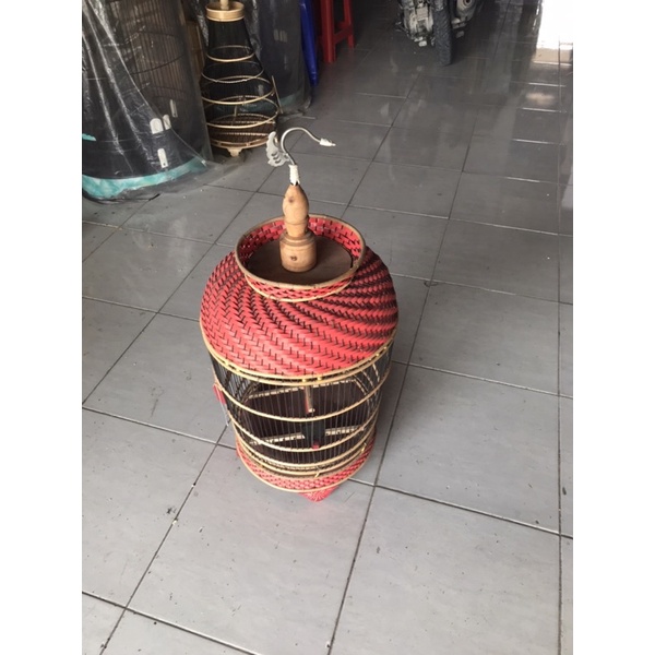 kandang perkutut